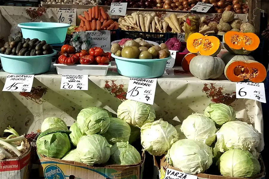 Balkan Ferments: Cabbage, Dairy, Brines and Living Traditions