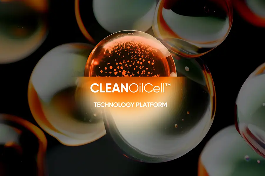 Can Fermentation Help Replace Palm Oil? A British Startup Thinks So