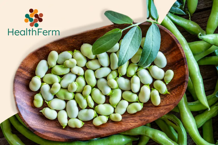 HealthFerm conference on plant-based fermented foods