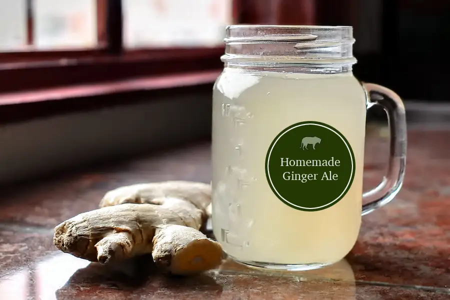 Homemade Ginger Beer