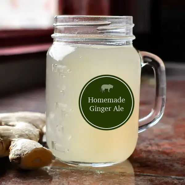 Homemade Ginger Beer