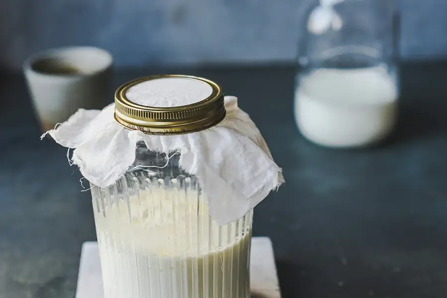 Homemade yoghurt with live cultures