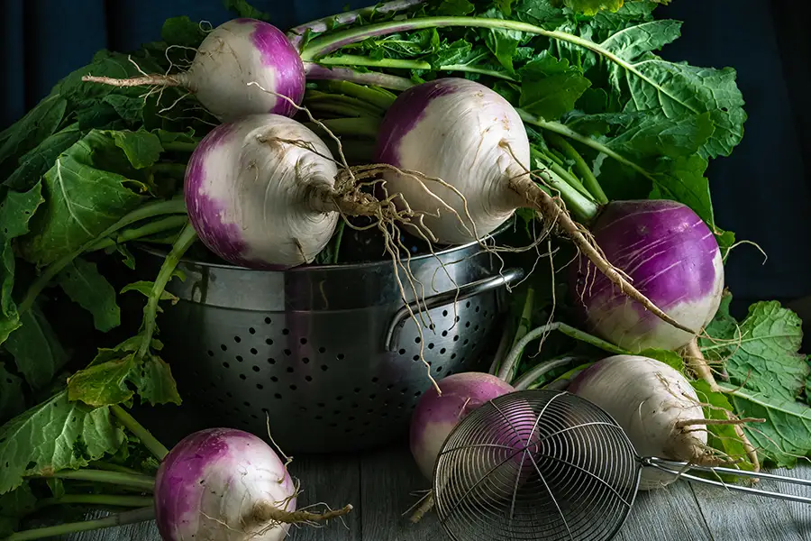 Turnip magic: The ultimate guide to tangy, probiotic crunch