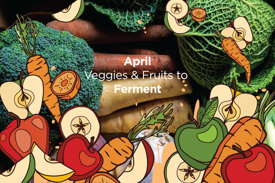 April's fermentations on both hemispheres