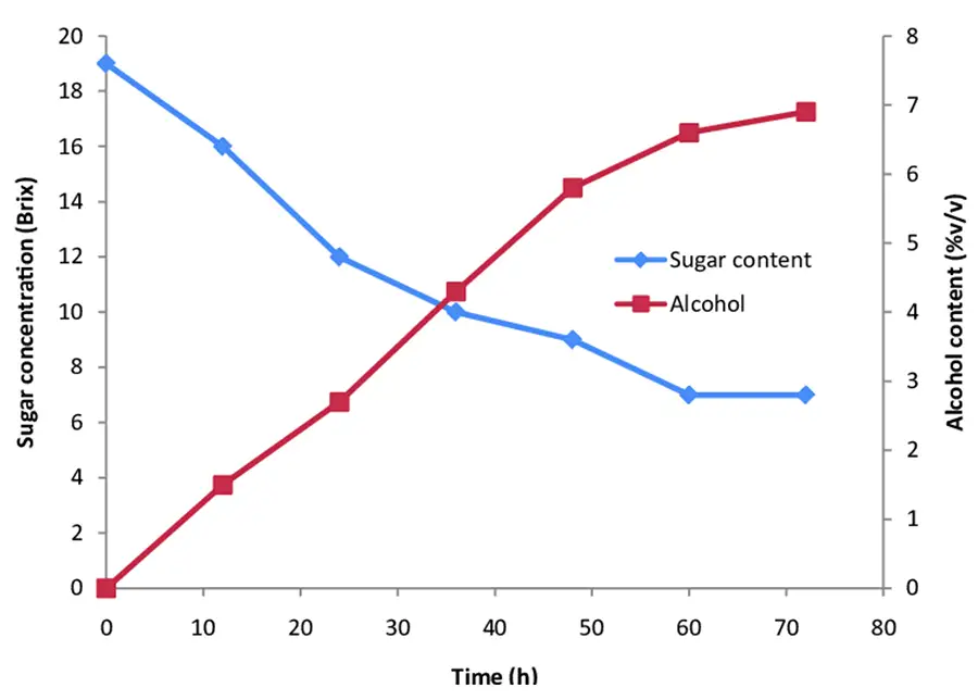 Changes in sugar concentration and alcohol content during fermentation
