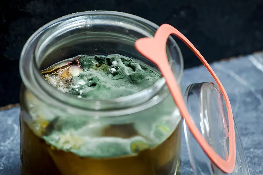 When Should You Throw Away a Ferment?