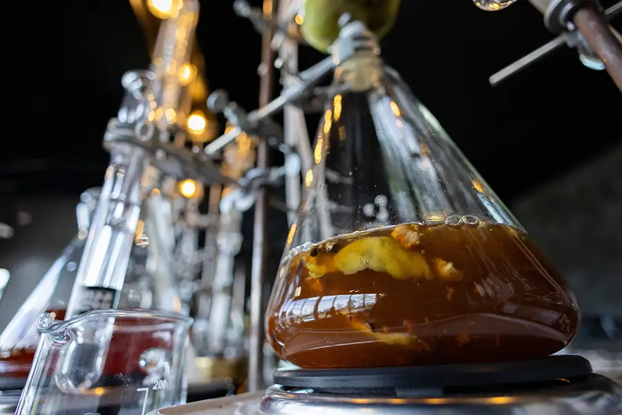 Fermentation is everywhere: 8 industries using microbes to make new products