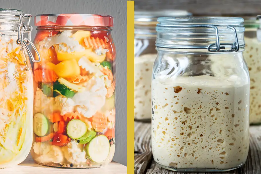 The difference between lacto-fermentation and yeast-fermentation